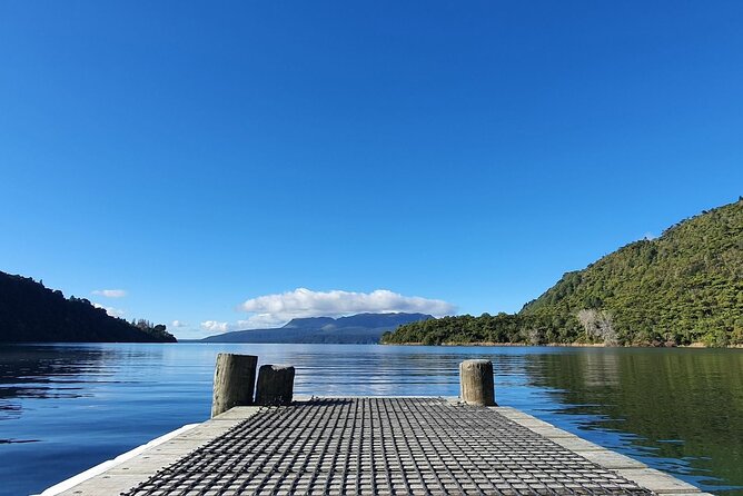 Ports of Tauranga/Rotorua/Tga - 6 Hours Rotorua Highlights Tour - Whakarewarewa Redwood Forest and the optional Treewalk overhead