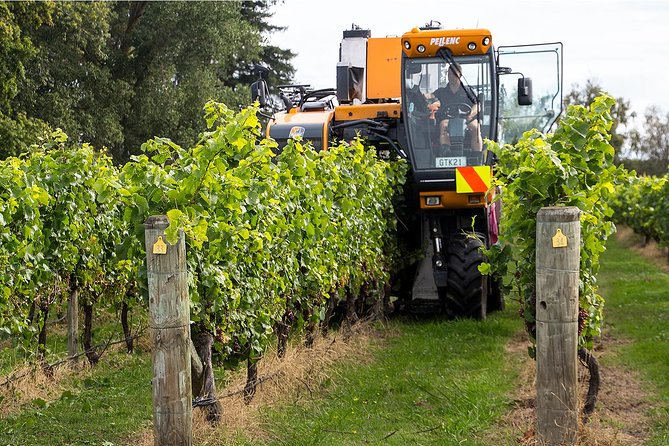 Premium 4 -Best Wineries Napier Hawke's Bay Tour, 5.5h - 6Hours - Quick hits: what makes this Napier wine tour click