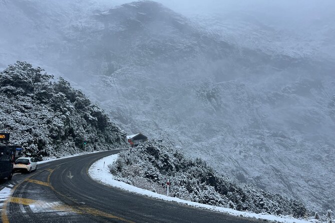 Premium Milford Sound Small Group Tour & Cruise from Queenstown - Darran Mountains and kea territory, then the Homer Tunnel story moment