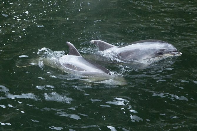 Premium Milford Sound Small Group Tour & Cruise from Queenstown - Pops View Lookout and the Maori stories on the return drive