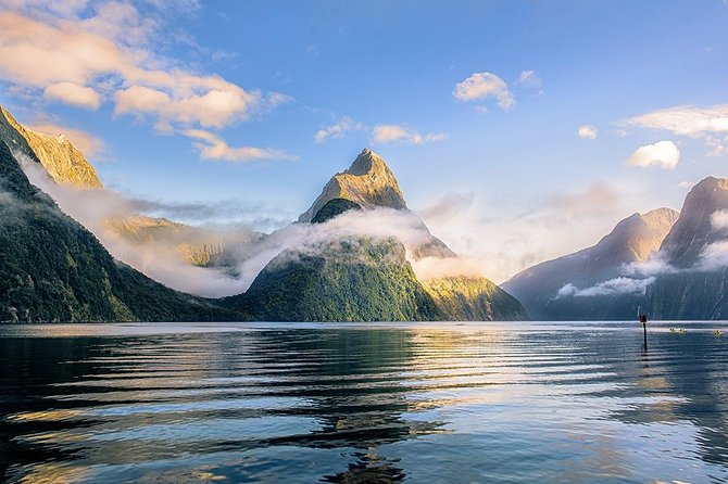 Premium Milford Sound Tour, Cruise & Lunch from Te Anau - Price and value: what $185.55 covers