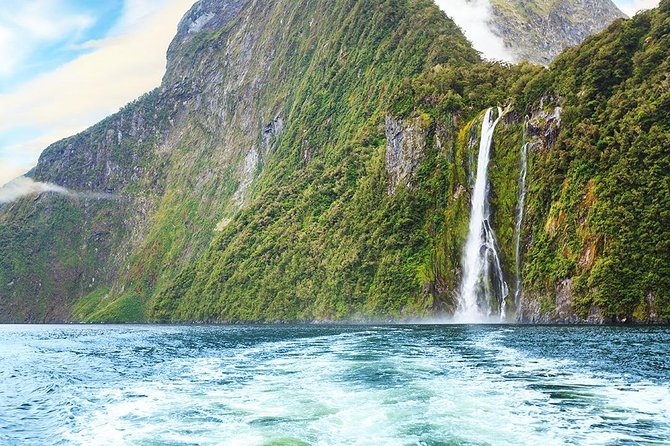 Premium Milford Sound Tour, Cruise & Lunch from Te Anau - Milford Sound cruise on a smaller boat: close to seals and cliffs