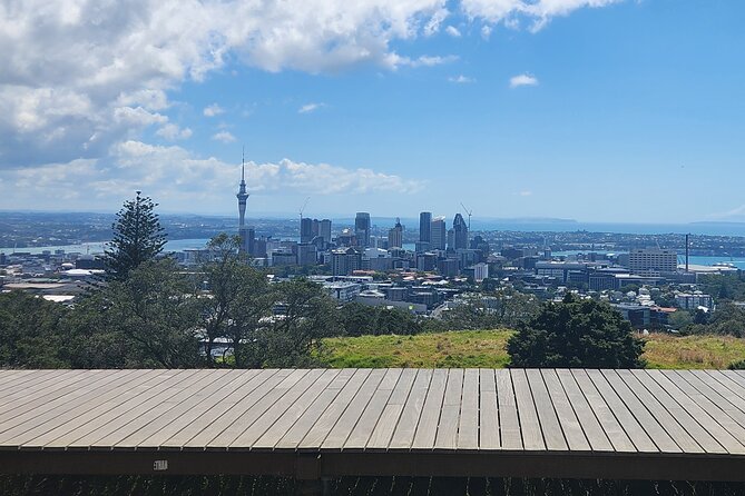 Private Auckland Best Top 5 Spots Half day Tour - Key things that make this Auckland tour work