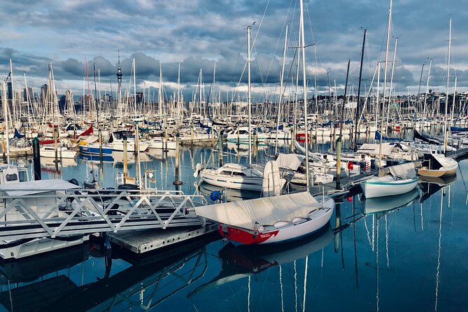 Private Auckland Best Top 5 Spots Half day Tour - Mission Bay waterfront time: views without a big time investment