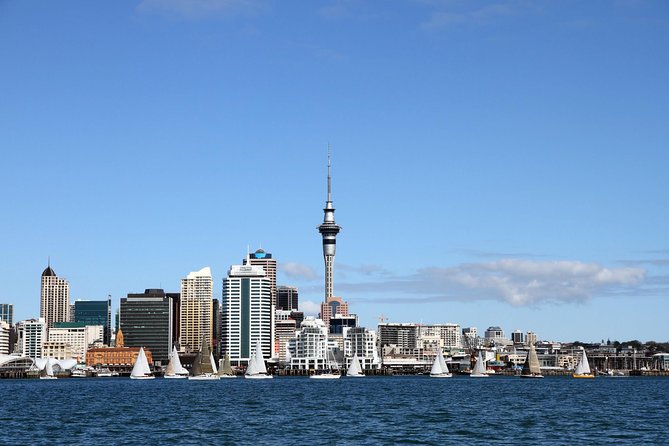 Private Auckland City Tour For Small Group in a luxury vehicle. - Key things I’d plan around