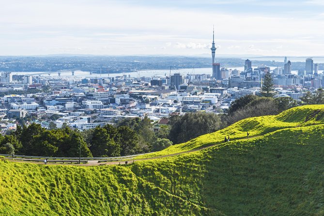 Private Auckland City Tour Including Auckland Tour House Visit - Key highlights worth planning for