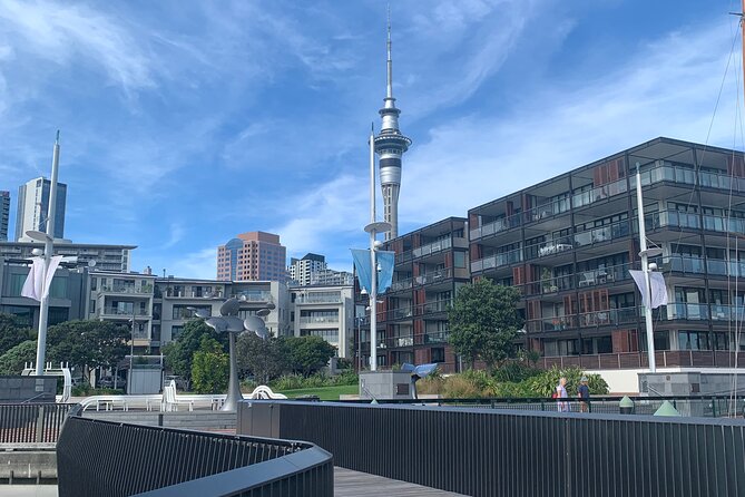 Private Auckland City Tour Including Auckland Tour House Visit - A half-day Auckland sampler with real viewpoint payoff