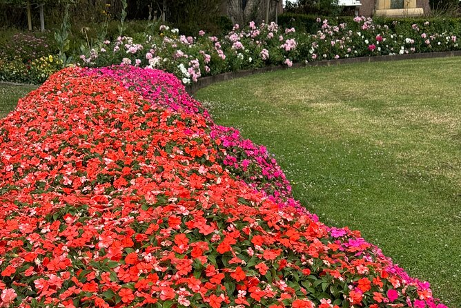 Private Auckland City Tour Including Auckland Tour House Visit - Bastion Point and Parnell: Savage memorial, then rose color near downtown