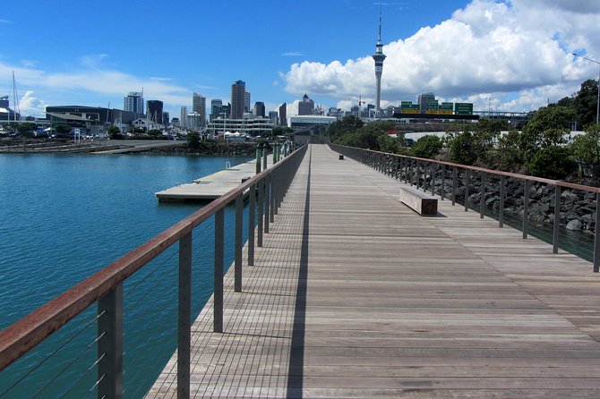 Private Auckland City Tour Including Auckland Tour House Visit - Mount Victoria Reserve: Harbour Bridge crossing, summit views, and the Disappearing Gun