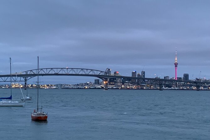 Private Auckland City Tour Including Auckland Tour House Visit - Shopping and snack time that doesn’t hijack your schedule