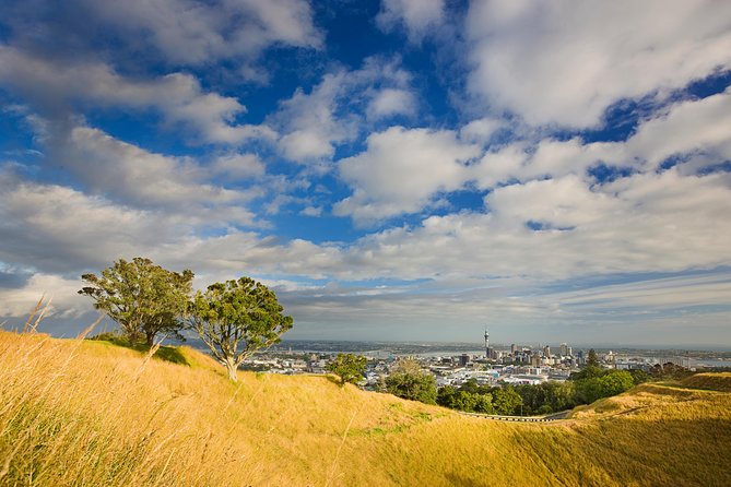 Private Auckland Half Day Tour - Mercedes comfort, pickup, and the kind of schedule you can trust