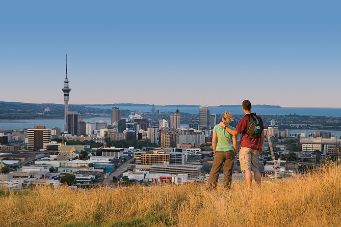 Private Auckland Half Day Tour - Tamaki Drive and Mission Bay: quick stops that hit Auckland’s postcard views
