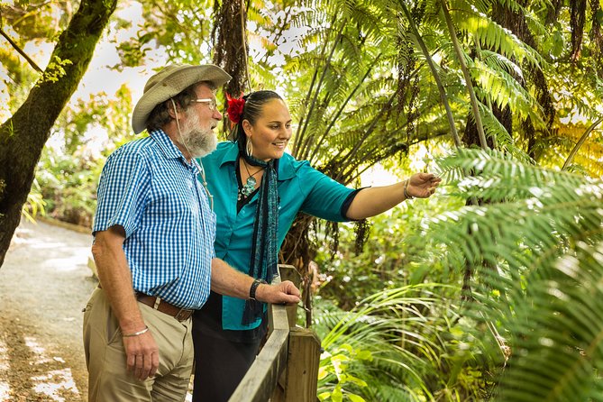 Private Auckland Half Day Tour - Price and value: is $369.24 per person a smart use of time?
