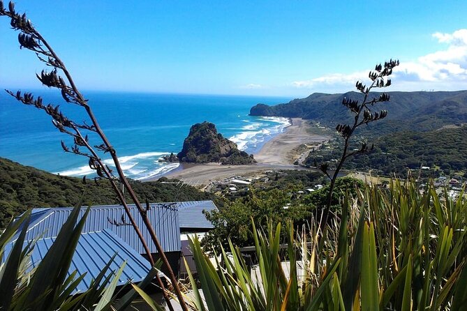 Private Auckland Sightseeing - Full Day/Half Day Hidden Gems Tour - Key highlights to zero in on