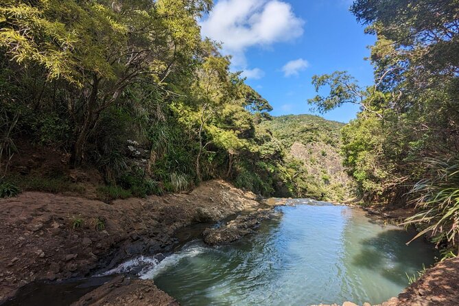 Private Auckland Sightseeing - Full Day/Half Day Hidden Gems Tour - North Shore beaches, plus city time in Art Gallery, Albert Park, K Road, and Ponsonby