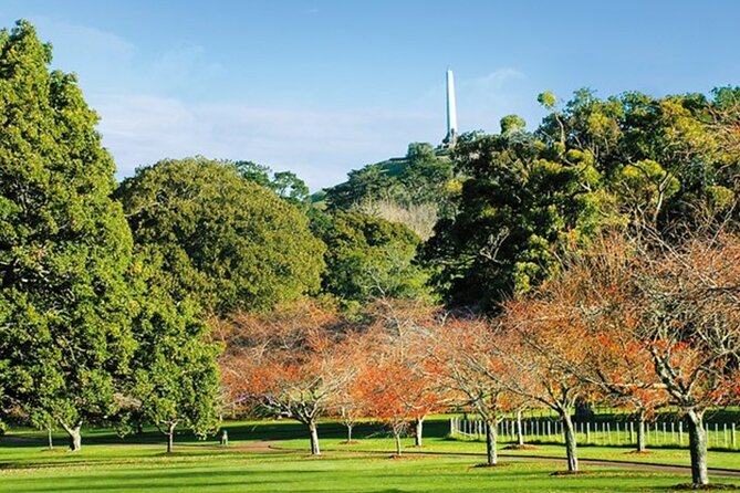 Private Auckland Sightseeing - Full Day/Half Day Hidden Gems Tour - Pick your time: half-day vs full-day, and how to choose