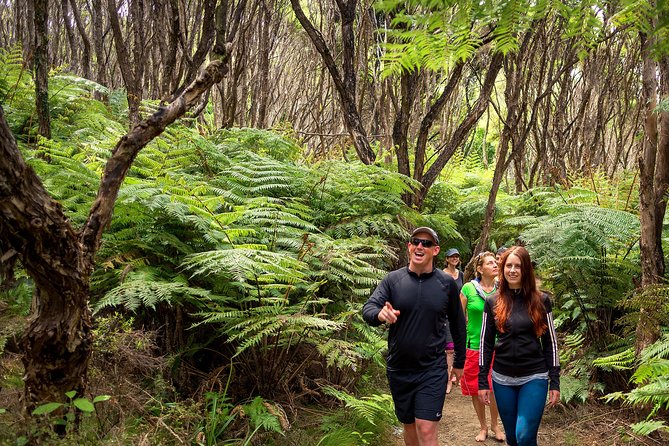 Private boat charter in Abel Tasman National Park - Stop 4: Split Apple Rock, a quick stop that still delivers