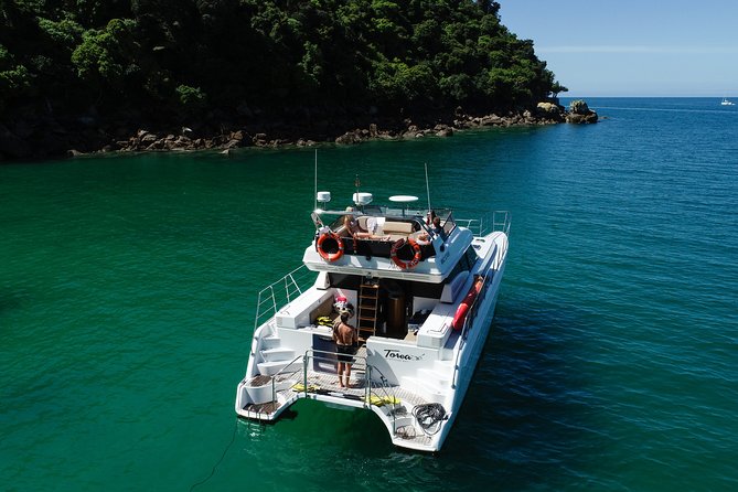 Private boat charter in Abel Tasman National Park - What the boat day feels like, in real-world terms