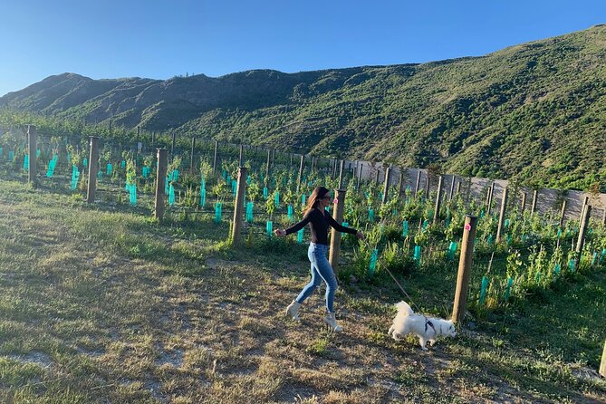 Private Dog Friendly Wine Tour with your Local Guide - Key highlights you should know