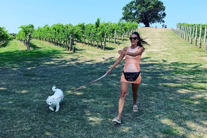 Private Dog Friendly Wine Tour with your Local Guide - Waiheke Island wine, but with your dog in the passenger seat