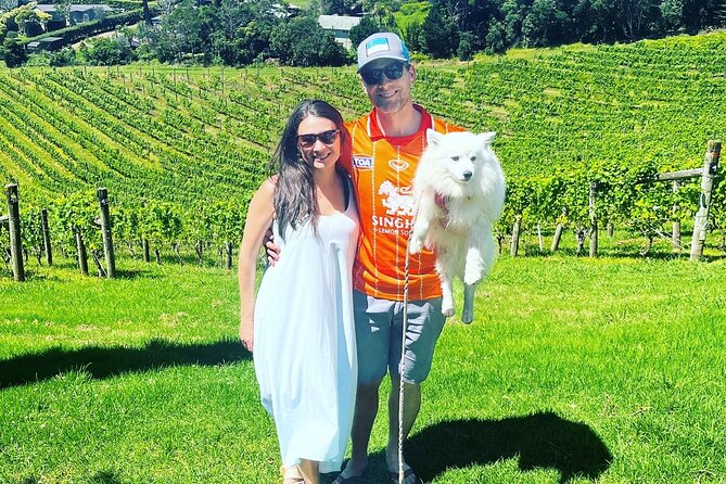 Private Dog Friendly Wine Tour with your Local Guide - Lunch stop plus walking time: a break that keeps the day balanced
