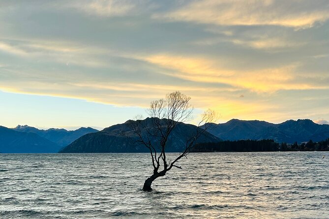 Private Driver Hire – Full-Day Touring-Auckland/Rotorua/Hamilton - Key highlights to know before you book