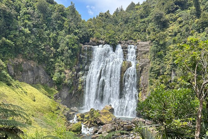 Private Driver Hire – Full-Day Touring-Auckland/Rotorua/Hamilton - Price and value: what $549 per group buys you