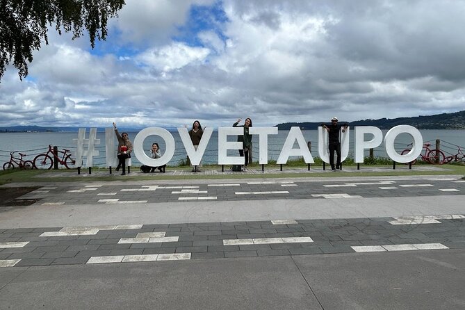 Private Driver Hire – Full-Day Touring-Auckland/Rotorua/Hamilton - Vehicles and comfort: what your day feels like once you’re in the car