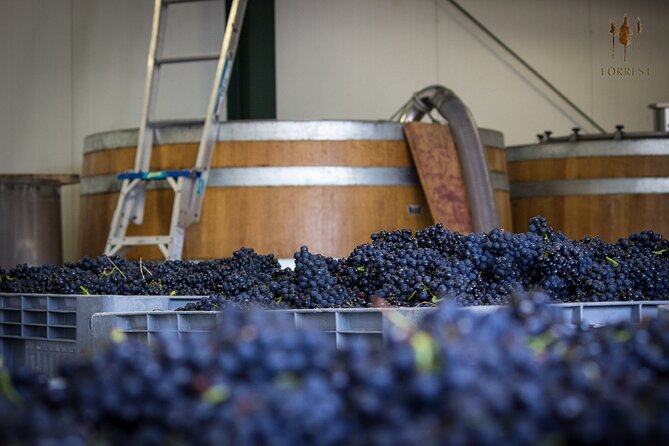 Private Driving Wine Tour (full day) in the Marlborough Region - Meet at Vines Village, then you roll at 9:45 am