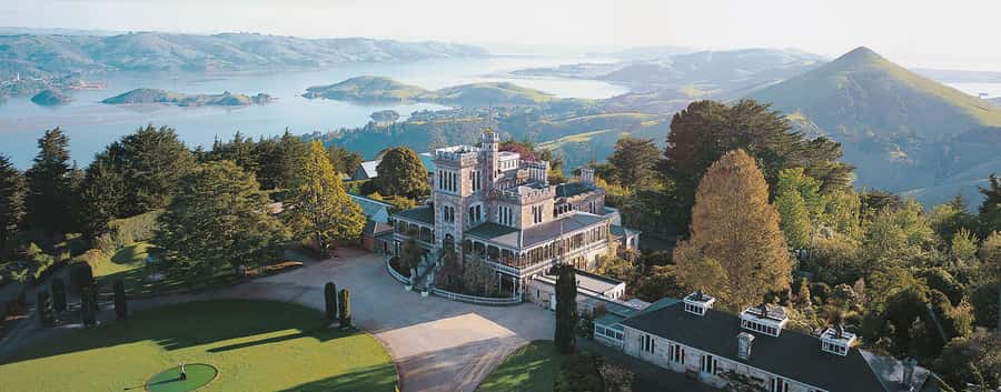 Private Dunedin City Highlights and Otago Peninsula Day Tour - Private Dunedin and Otago Peninsula day tours, is $585 actually good value?