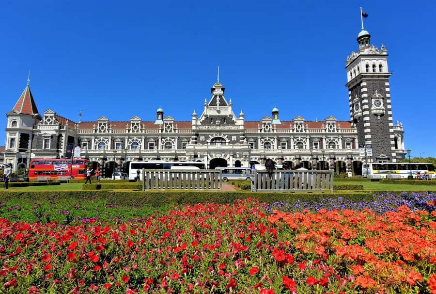 Private Dunedin City Highlights and Otago Peninsula Day Tour - Guide style matters: what I’d watch for with Billy Bai and Ms. Yili