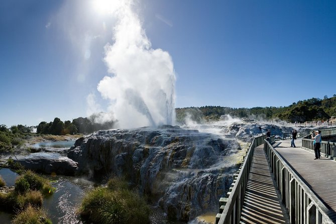 Private Full-Day Rotorua Tour from Auckland - From Auckland at 7:30am, a Rotorua day built for meaning (not rushing)