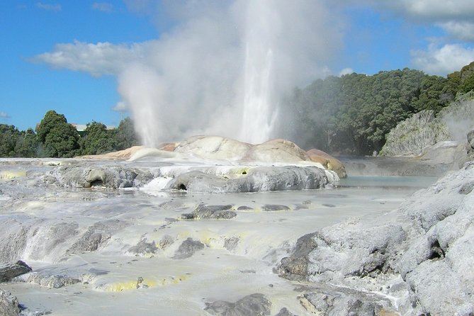 Private Full-Day Rotorua Tour from Auckland - Pickup, timing, and the long-drive reality from Auckland