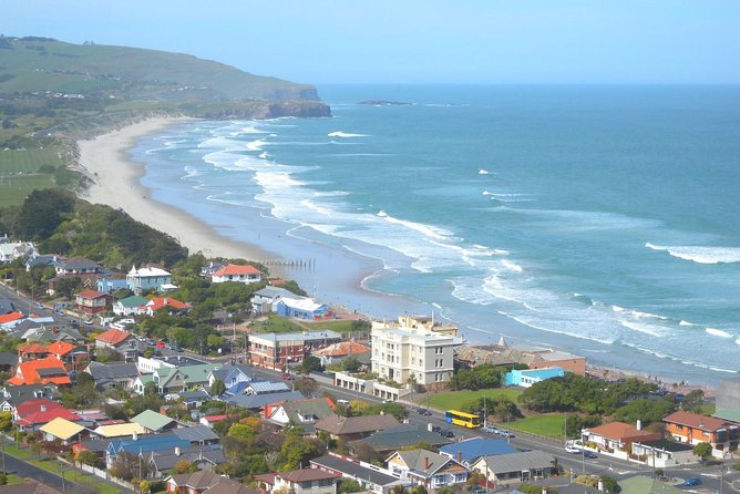 Private Guided Tour of Dunedin City Heritage and Unique Wildlife and Scenery - Key Things to Know Before You Go