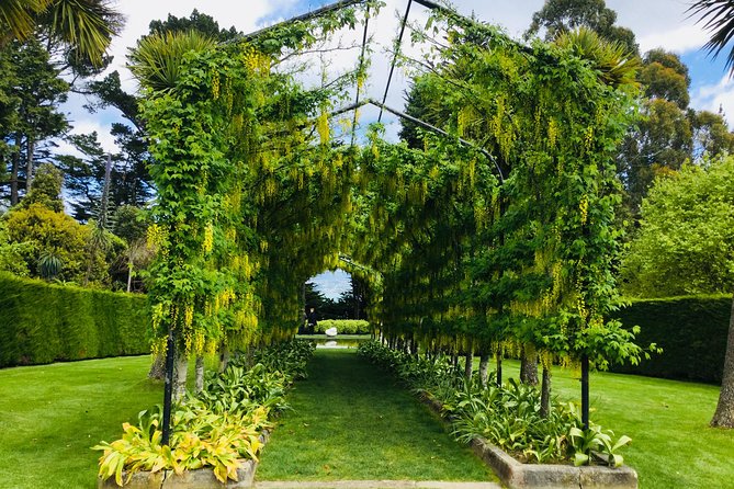 Private Guided Tour of Dunedin City Heritage and Unique Wildlife and Scenery - Optional Peninsula Wildlife: Penguin Place Through Eco Restoration