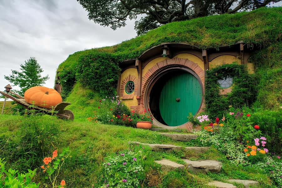 Private Hobbiton & BlueSprings & Redwood forest fromAuckland - Key things to know before you go