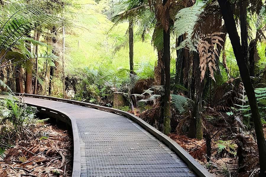 Private Hobbiton & BlueSprings & Redwood forest fromAuckland - Who this tour suits best (and who should think twice)