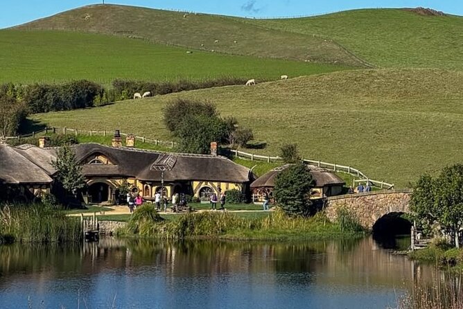 Private Hobbiton Movie Set and Rotorua Day Trip from Auckland - Te Puia Māori culture shows, kiwi sanctuary, and the hāngī experience