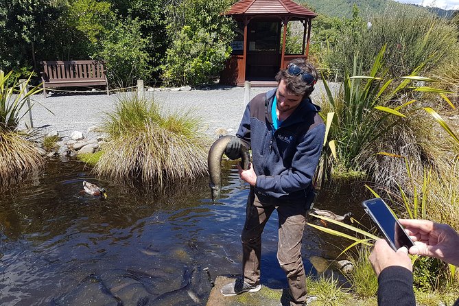 Private Kapiti Coast Full Day Tour - Plimmerton Beach and Paraparaumu: Ocean Time Without Overplanning