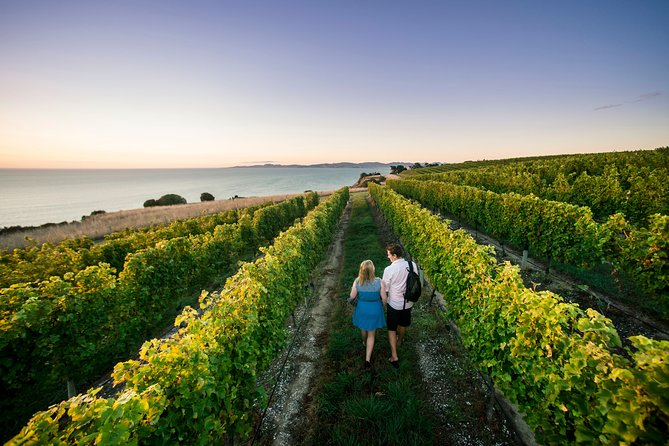 Private Marlborough Winery Tour - Key things to know before you go