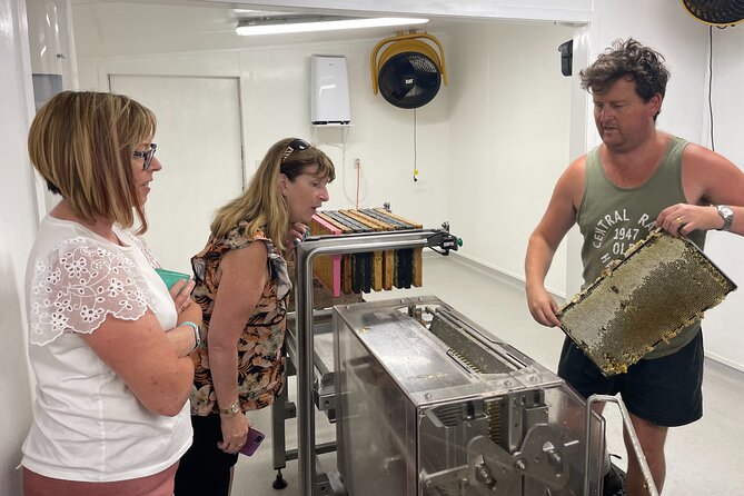Private Martinborough Foodie Delights Tour from Wellington - Wellington to Martinborough: why this food route feels different