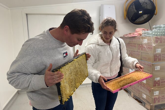 Private Martinborough Foodie Delights Tour from Wellington - Greytown Honey: the live beehive experience that people remember
