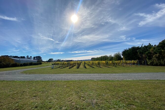 Private Martinborough Wine Tour for Wine Enthusiasts - Stop 5, Poppies Martinborough: premium tasting and lunch (Monday to Thursday)