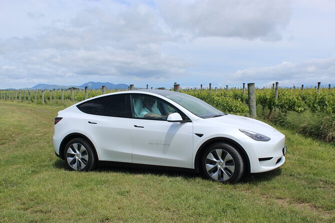 Private Martinborough Wine Tour in an Electric Vehicle - Tesla Model Y - Kaitoke Regional Park and the Rivendell-style forest walk