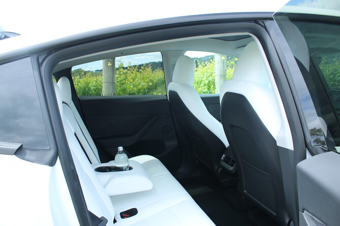 Private Martinborough Wine Tour in an Electric Vehicle - Tesla Model Y - Rimutaka Road Summit Track and pylon track views