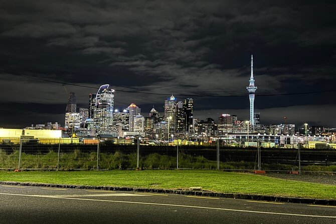 Private Night Tour of Auckland, Sky Tower Bar, Bridge & Museum - Auckland Domain at night: museum grounds and light displays