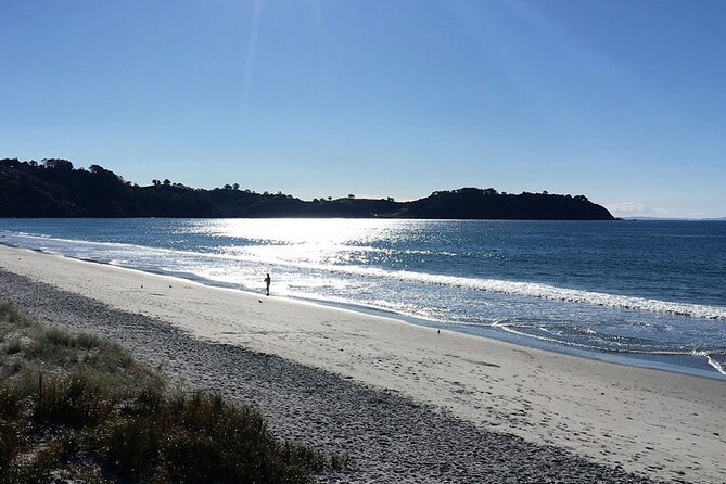 Private Personalised Tour in Waiheke Island - Stop on Waiheke Island: Beaches, Bush Walks, and Wildlife Chances