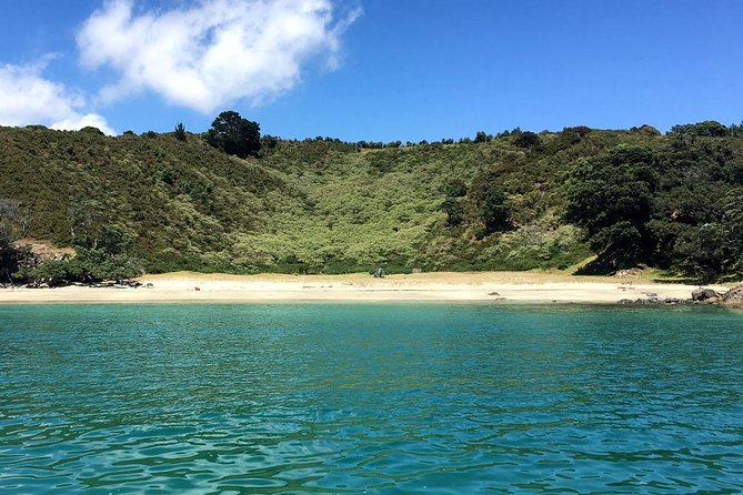 Private Personalised Tour in Waiheke Island - Forest Walking or Coastal Trail: Two Ways to See the Island Differently