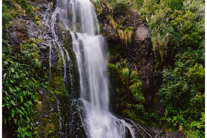 Private Piha Beach, Rainforest Adventure & Mt. Eden with Guide - Why This Private Auckland Nature and City-View Mix Works