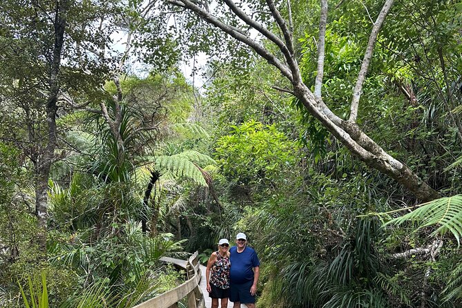 Private Piha Beach, Rainforest Adventure & Mt. Eden with Guide - Kitekite Falls: A Rainforest Walk to Multi-Tier Waterfall Views